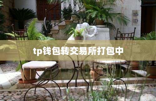 tp钱包转交易所打包中