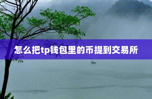 怎么把tp钱包里的币提到交易所