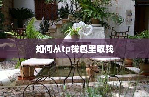 如何从tp钱包里取钱