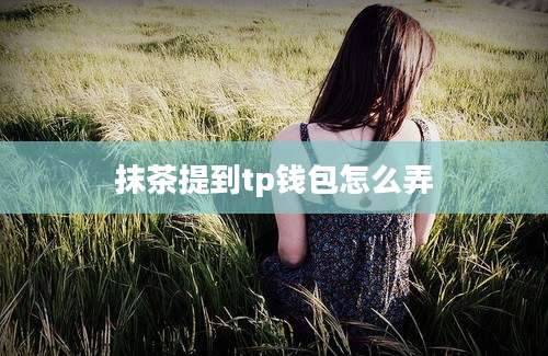 抹茶提到tp钱包怎么弄
