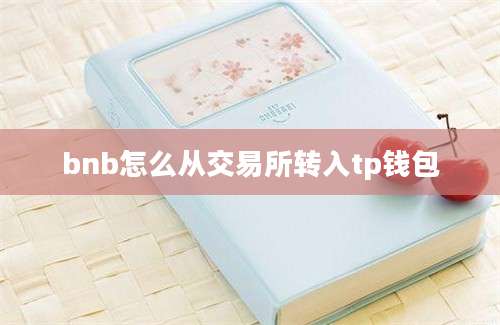 bnb怎么从交易所转入tp钱包