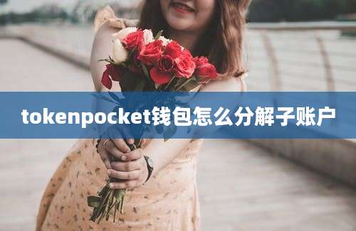 tokenpocket钱包怎么分解子账户