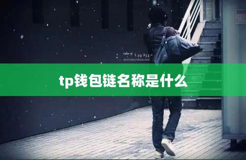 tp钱包链名称是什么