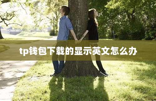 tp钱包下载的显示英文怎么办