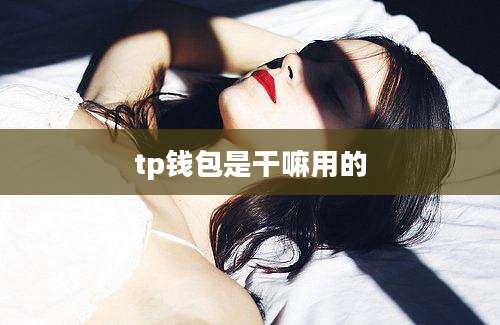 tp钱包是干嘛用的