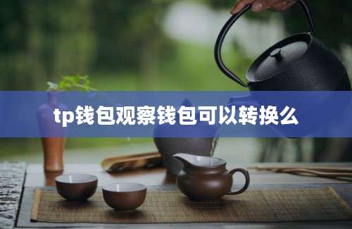 tp钱包观察钱包可以转换么