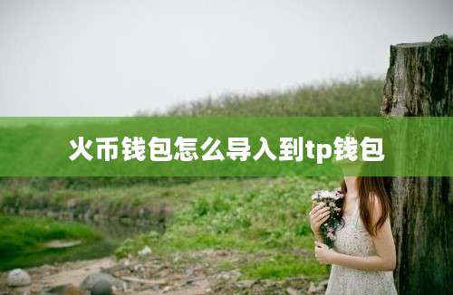 火币钱包怎么导入到tp钱包