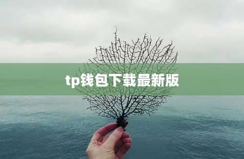 tp钱包下载最新版