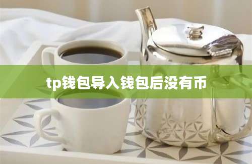tp钱包导入钱包后没有币
