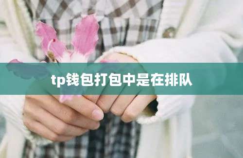 tp钱包打包中是在排队