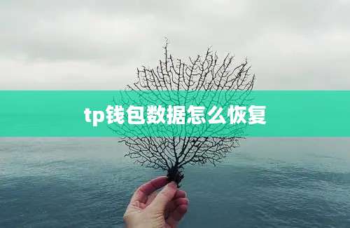 tp钱包数据怎么恢复