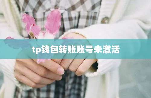 tp钱包转账账号未激活