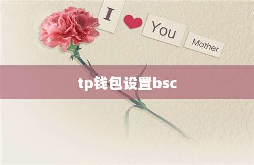 tp钱包设置bsc