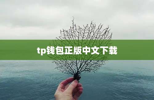 tp钱包正版中文下载
