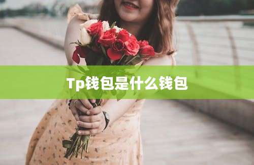 Tp钱包是什么钱包