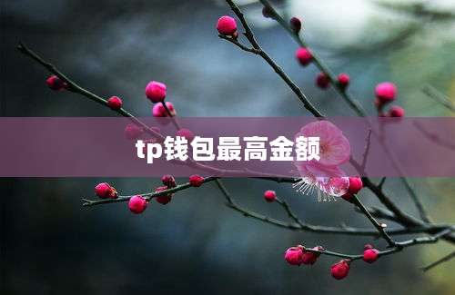 tp钱包最高金额