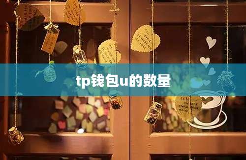 tp钱包u的数量