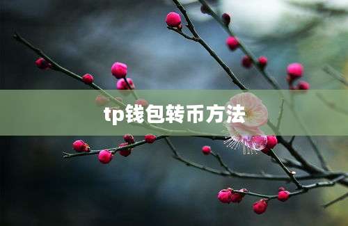 tp钱包转币方法