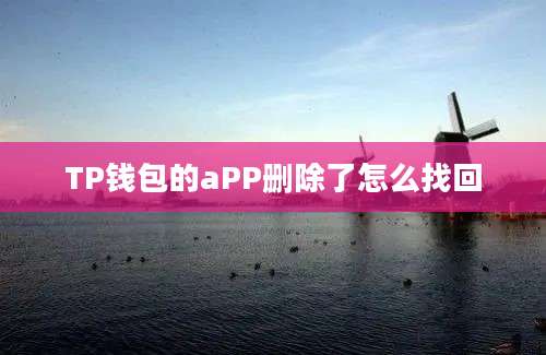 TP钱包的aPP删除了怎么找回