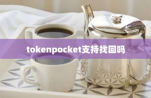 tokenpocket支持找回吗
