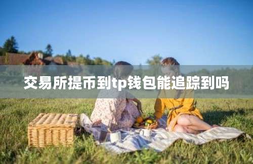 交易所提币到tp钱包能追踪到吗
