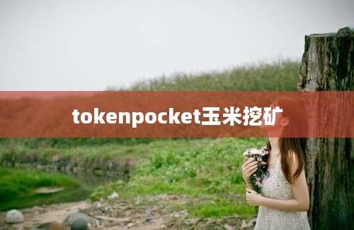 tokenpocket玉米挖矿