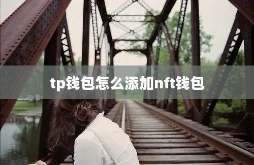 tp钱包怎么添加nft钱包