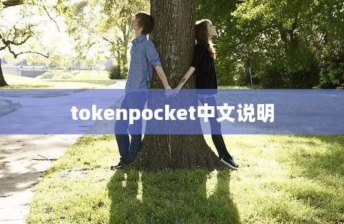 tokenpocket中文说明
