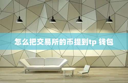 怎么把交易所的币提到tp 钱包