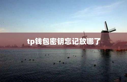 tp钱包密钥忘记放哪了