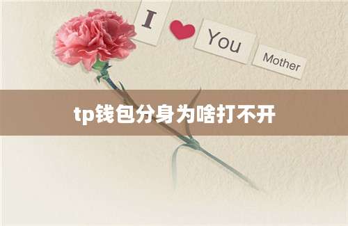 tp钱包分身为啥打不开