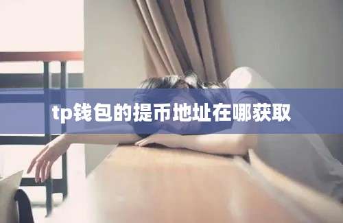 tp钱包的提币地址在哪获取