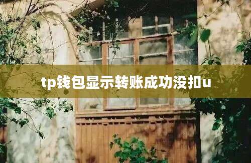 tp钱包显示转账成功没扣u