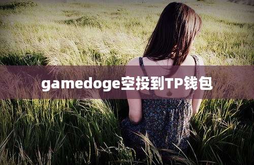 gamedoge空投到TP钱包
