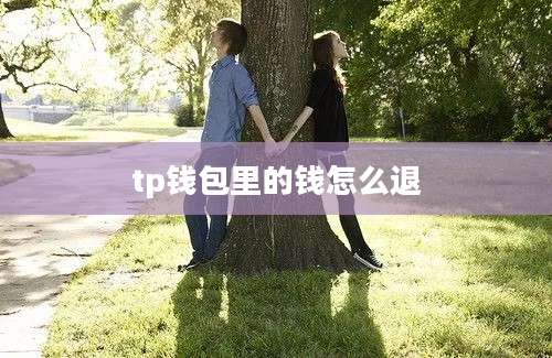 tp钱包里的钱怎么退