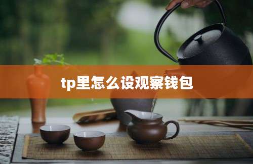 tp里怎么设观察钱包