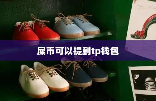 屎币可以提到tp钱包