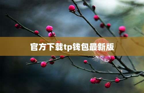 官方下载tp钱包最新版