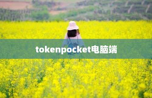 tokenpocket电脑端