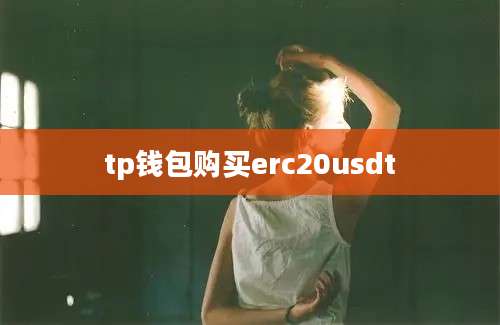 tp钱包购买erc20usdt