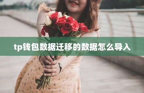 tp钱包数据迁移的数据怎么导入