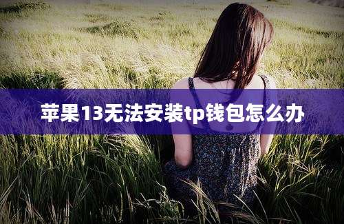 苹果13无法安装tp钱包怎么办