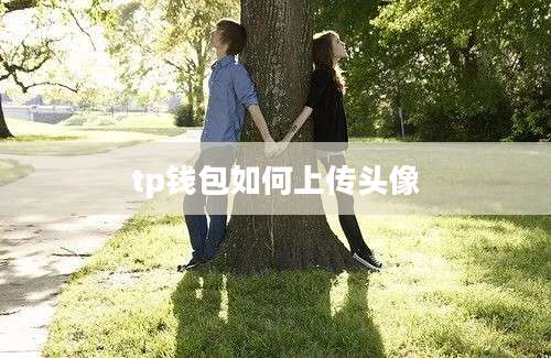 tp钱包如何上传头像