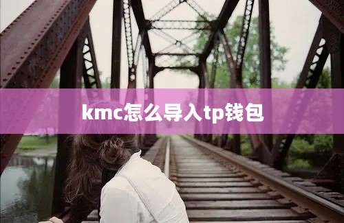 kmc怎么导入tp钱包