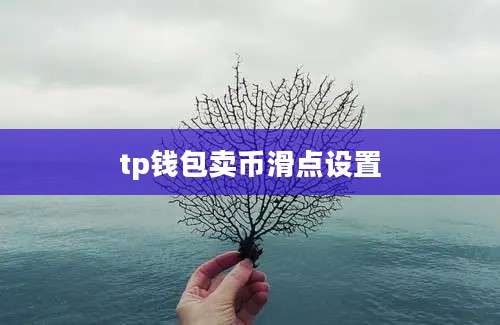 tp钱包卖币滑点设置