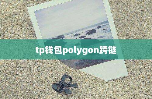 tp钱包polygon跨链