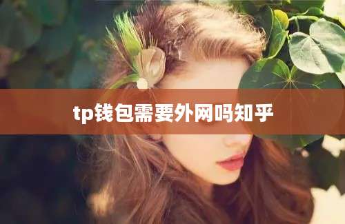 tp钱包需要外网吗知乎