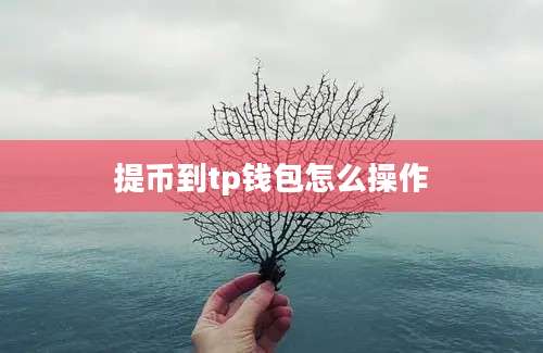 提币到tp钱包怎么操作