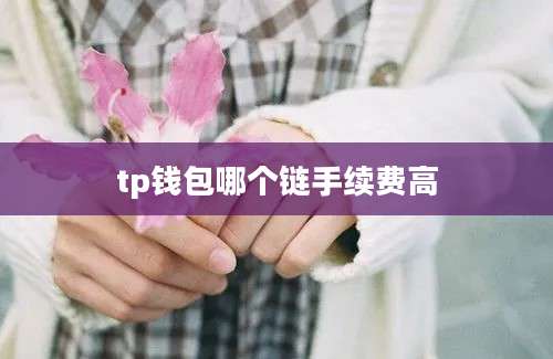 tp钱包哪个链手续费高