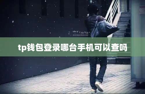 tp钱包登录哪台手机可以查吗